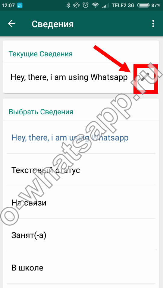 Как в статусе ватсап поставить фото. Как сделать статус в ватсапе. Что такое сведения в WHATSAPP.